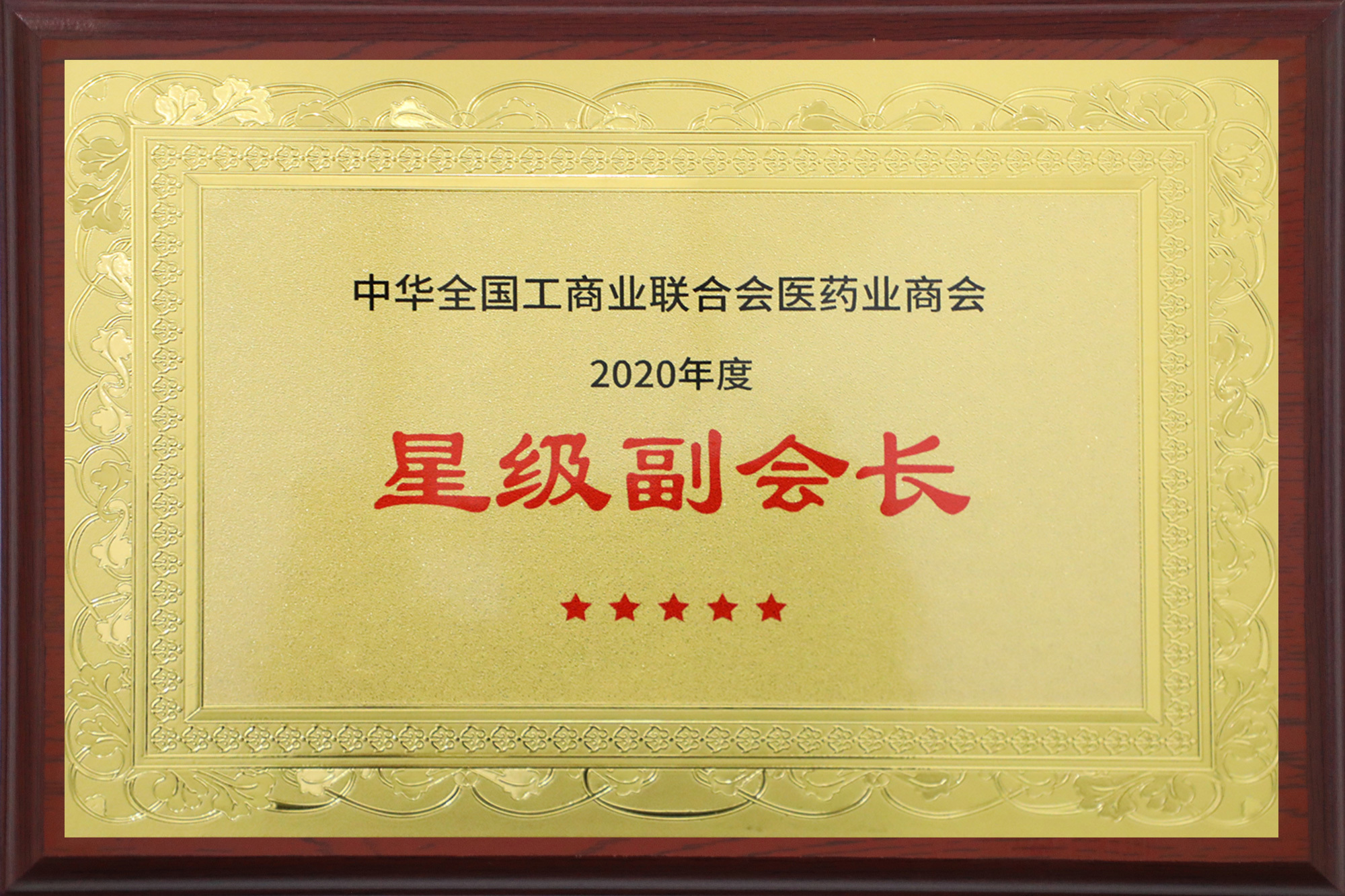 Hiệp hội Thương mại Công nghiệp Toàn quốc Trung Quốc về Dược phẩm năm 2020 hạng Phó Chủ tịch sao vàng Hiệp hội Thương mại Công nghiệp Toàn quốc Trung Quốc về Dược phẩm năm 2020 hạng Phó Chủ tịch sao vàng